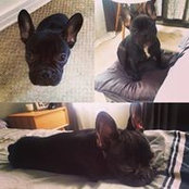 Javier Mancilla's photo
