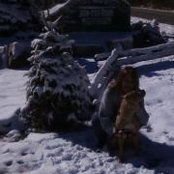 Lorrie Killebrew's photo
