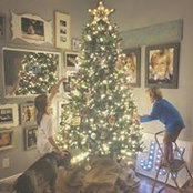 Lisa Rees's photo
