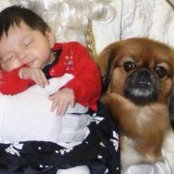 Katie Arcand's photo