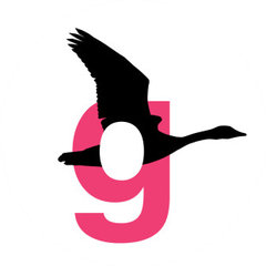 Goose Collaborative