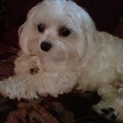 Sue Hunt's photo