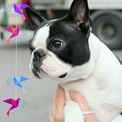 Yulia Belykh's photo
