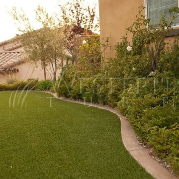Turf/Synthetic turf
