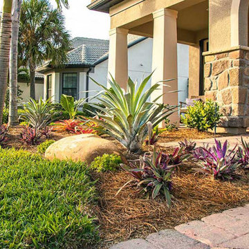 Asnen Curb Appeal