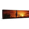 "Arizona, Sonoran Desert, sunset" Canvas Art, 60"x20"x1.25"
