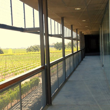 Dominus Estate