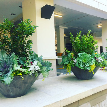 Fall Container Garden Design