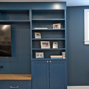 Family Friendly Basement in Mt Plesant