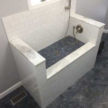 DOG SHOWER