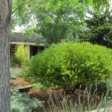Gainer Garden