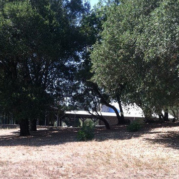Sonoma Guest Compound