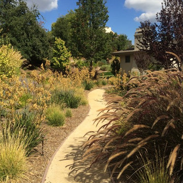 Saratoga Low Water Hillside