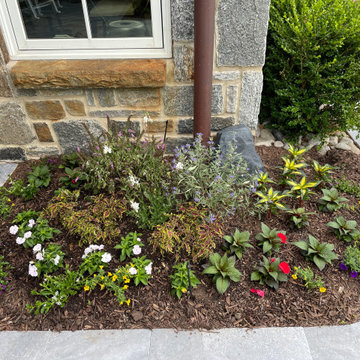 Spring and Summer Annuals Landscape Beds