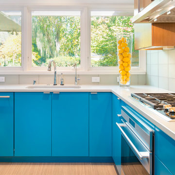 Mid-Century Modern Kitchen with Greenfield Cabinetry