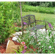 Landscape Ideas