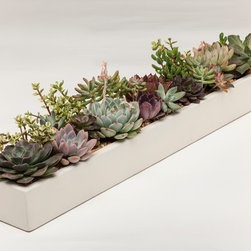Concrete Planters - Home Decor
