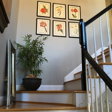 Original Vintage Botanical Framed Prints