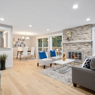 Issaquah Remodel