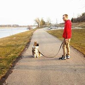 Josh Carrey's photo