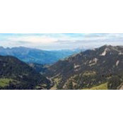 Taaniel Reimers's photo