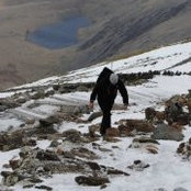 James Brett's photo