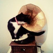 Cecile Prinz Zilber's photo