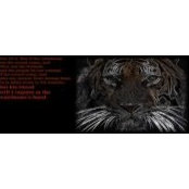 Mike Yother's photo