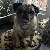 Pamela Snyder-Gallagher's photo