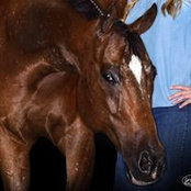 Karen Ackerson's photo