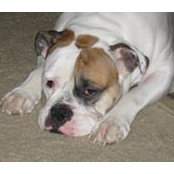 Richard Waggoner's photo