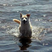 Barbra Gilbert's photo