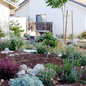 No Lawn Suburban Front Yard