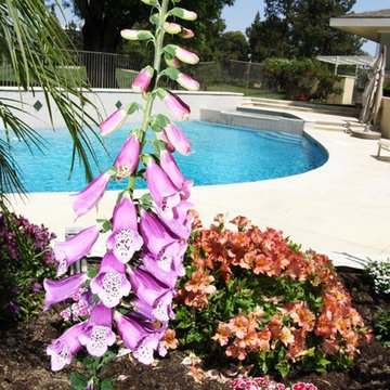 Pool and Spa near Golf Course