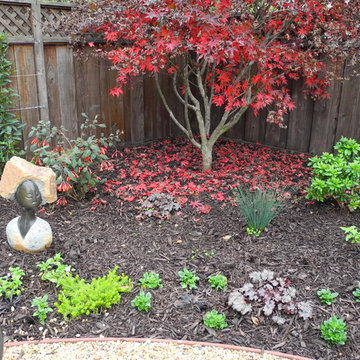 The Lawn Goodbye & Hello To A New Inviting Spaces By Kim