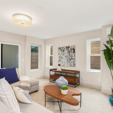 Olde Town Modern - Darst Street Property