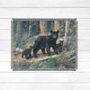 Laural Home Black Bear Family Woven Throw with Fringe Edge, 60" X 80"