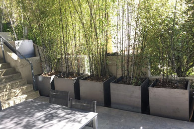 Corten steel planters with Bamboo