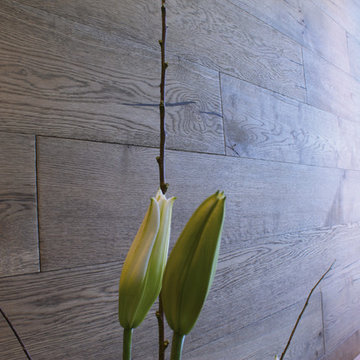 Showroom Bosque Real