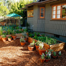 Patio Ideas