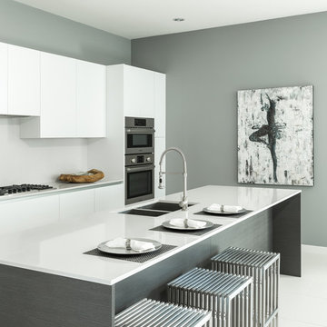 Horizon Home -Escena Palm Springs CA