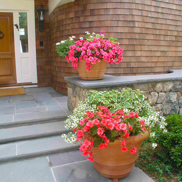Container Gardens