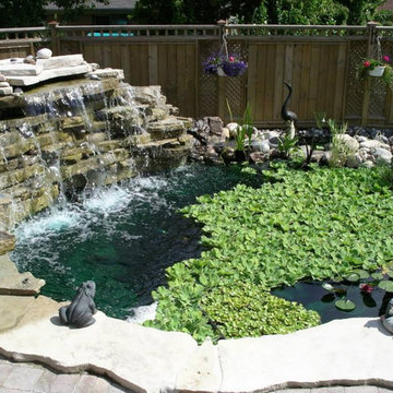 My Projects