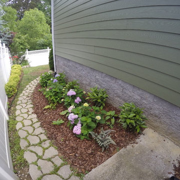 Perennials That Multiply