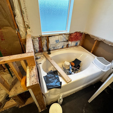 Master Bathroom Remodel