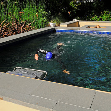 Swim Spa with cover and Fastlane