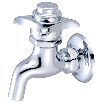 Central Brass Self-Close Wallmount Faucet