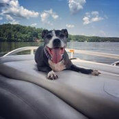 April Henry's photo