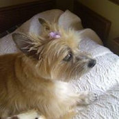 Beverly Gadziemski's photo