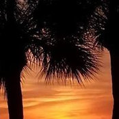 Photo de Mary Lauria
